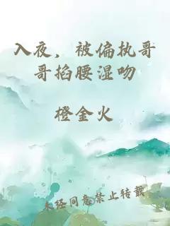 入夜，被偏执哥哥掐腰湿吻